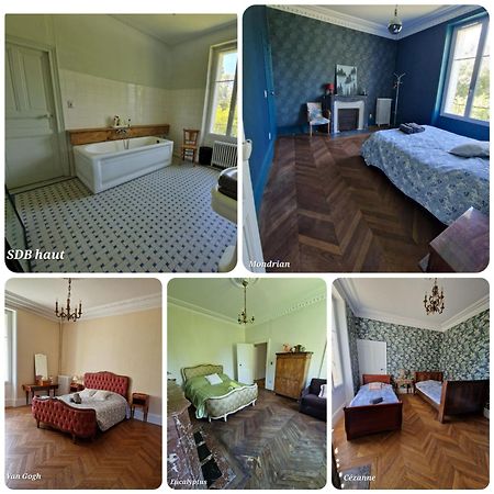 Gite Manoir Du Moulin Pres Du Zoo De Beauval Et Les Chateaux De La Loire Chabris Экстерьер фото